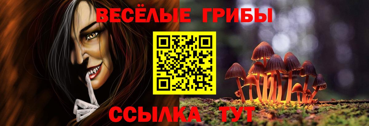 Галлюциногенные грибы Psilocybe Гусь-Хрустальный